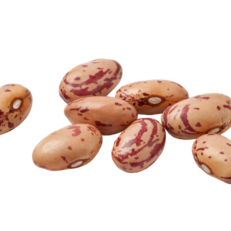 Barbunya 1 Kg Salihli Yöresi